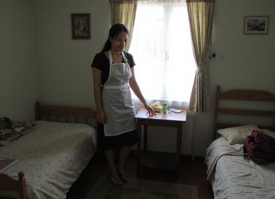 Domestic Helper